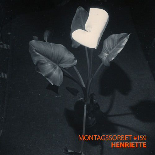 #159: Henriette - Montagssorbet mit Laut & Luise