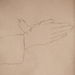 Voluntaries for Organ, No. 1 (Live at Notre Dame de Chicago)