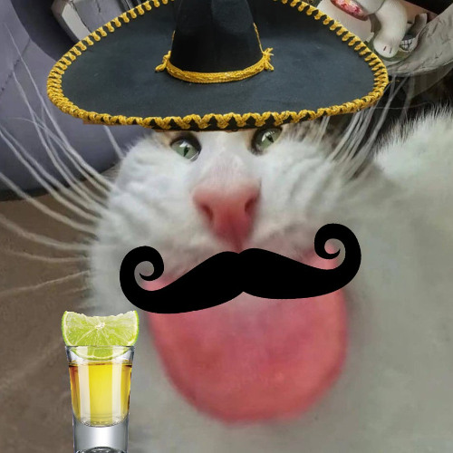 TIYAPIDOR