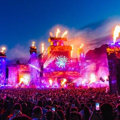 BOOMTOWN ESSENTIALS