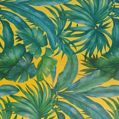 린다(Linda)-VIBE demo version