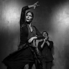Flamenco belly dance fusion
