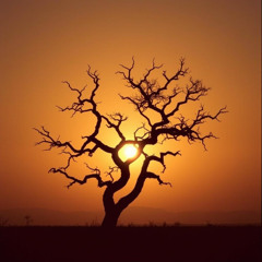 Semi-Automatic - twentyonepilots [KameKairos Remix]