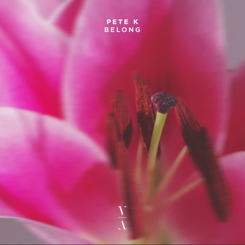 Artwork for the song Pete K - Belong by Pete K on Next Sound