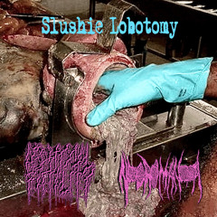 “SLUSHIE LOBOTOMY” Necromania x Asphyxial Fatality split EP