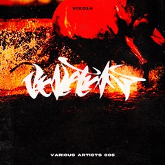 【VIX014】VIXLATIXN V.A. Vol.5