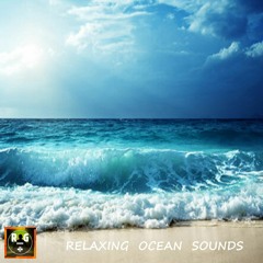 Sound Of The Sea - Gentle Crashing Ocean Waves for Sleep, Study, Relax - (Loop)