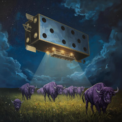 Opening for Zeplinn @ Purple Buffalo 11-14-25