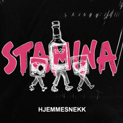 stamina 2022- hjemmesnekk