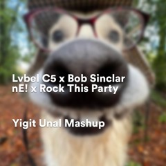 Lvbel C5 X Bob Sinclar - Ne X Rock This Party - Yigit Unal Mashup