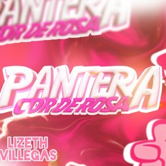 The pink panther (patrocinador, correa!)🦩🩷