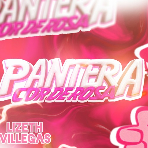 The pink panther (patrocinador, correa!)🦩🩷