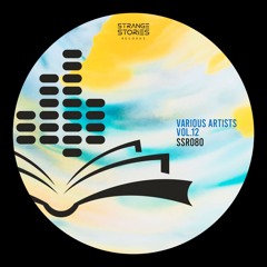 Various Artists Vol.12