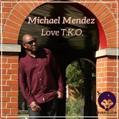 Michael Mendez - Love T.K.O. Snippet