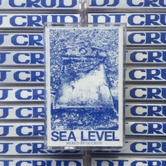 HAB001 SEA LEVEL-DJ CRUD (SNIPPET)