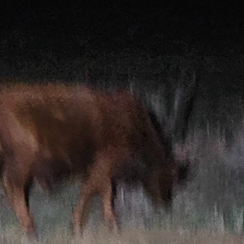 Grubstep Preview