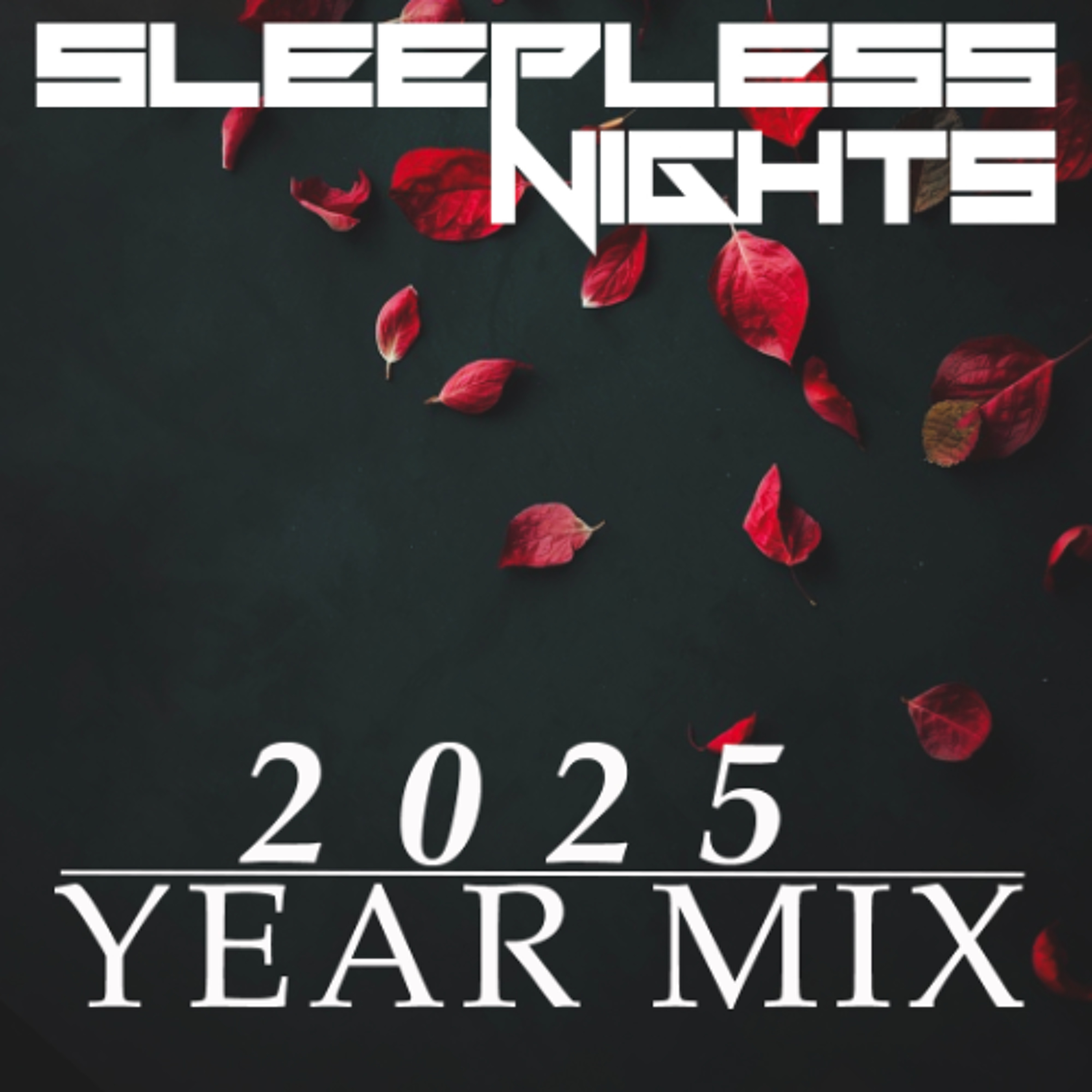 Sleepless Nights EP 387- D6 ** 2025 Sleepless Nights Year Mix** episode artwork