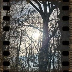 'Every Moment Without You'