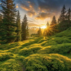 Copy of A V I O 7 - Evergreen (Set)