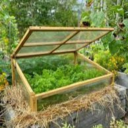Stream episode Cold Frames What are they and Should I make one? by