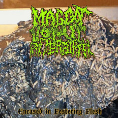 MAGGOT VOMIT AFTERBIRTH - Suburban Shotgun Splattercide