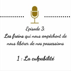 Ep 3 - Les freins -Partie 1 La Culpabilité