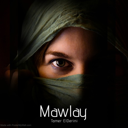 Mawlay .Lotfi Bouchnaq (Tamer ElDerini remix)