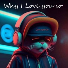 Accoustech House #8 (Why I Love You So)