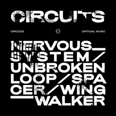 Circuits - Wingwalker