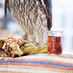 "الحُب مملكةٌ تباعَد أهلها / رُحّالُ ما بين المدائِن والقُرى"