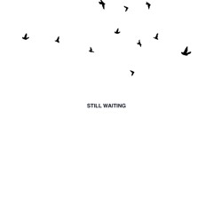 still waiting