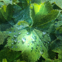drops of u (01.08.2025)