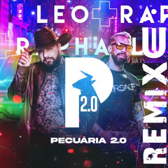Pecuária 2.0 (Funk Remix) Léo e Raphael [ Dj Uili ]