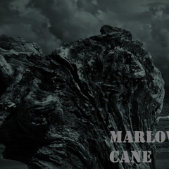 End of the world (Cover)