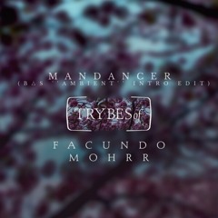 Facundo Mohrr - Mandancer (Bajes ''Ambient'' Intro Edit)