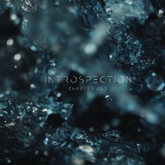 iNTROSPECTION - Flowry Selections (KREAM - MEDUZA - Gorgon City - Biscits - AYDEN LOYDE) [House Mix]