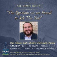 The Questions We Must Ask Today - Rabbi Shlomo Katz