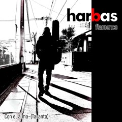 CON EL ALMA (Taranta)