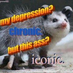 POSSUM?! bUtT I bAreLy KNoW hIM!!!1!!1!1