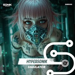 SNKR010 HyperSonik - Simulator (Original Mix) [Teaser] *OUT NOW*