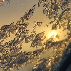 EISKALT (prod. shvde*)