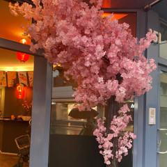 Big Brother’s Diary