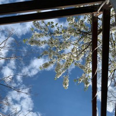 Magnutze (DJ Set)for "David Rausch" 33 B-Day At KAOS Berlin