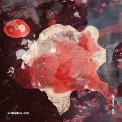 METANOIA555 - WannaCry
