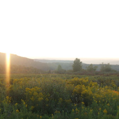 High Hopes (Acoustic)