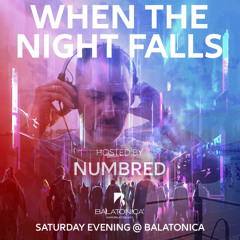 Numbred - When The Night Falls #216