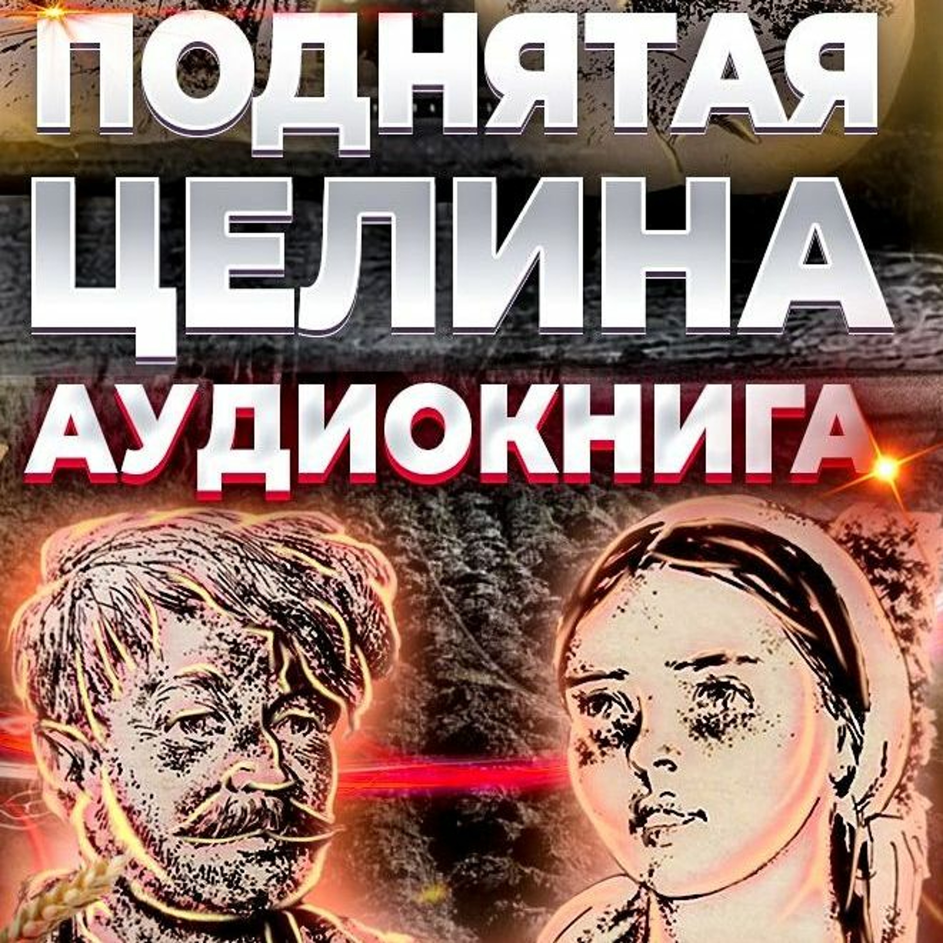 Поднятая Целина. Аудиокнига. Книга 1. Глава 29, Урок 29. episode artwork