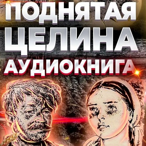 Поднятая Целина. Аудиокнига. Книга 1. Глава 17, Урок 17.