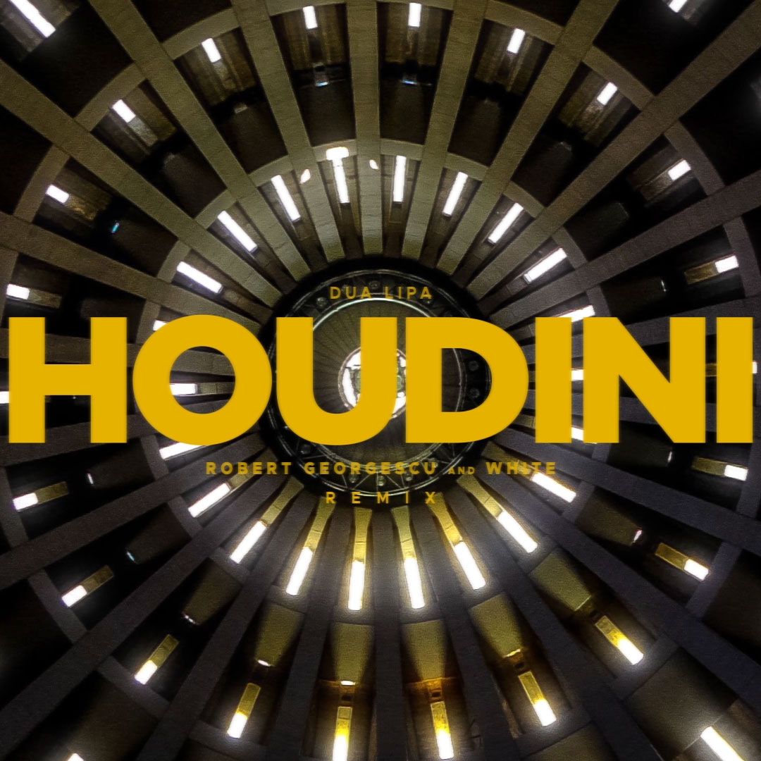 Dua Lipa – Houdini (Robert Georgescu And White Remix) (AFRO HOUSE)