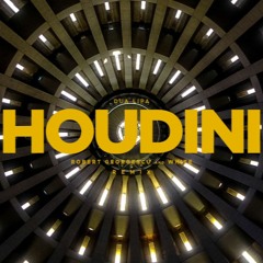 Dua Lipa - Houdini (Robert Georgescu And White Remix) (AFRO HOUSE)